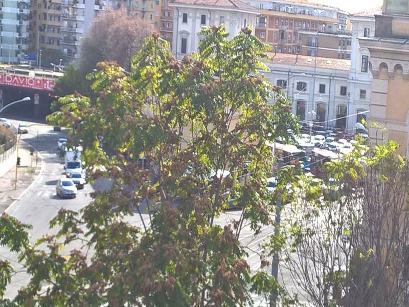 Elegance Scalini Di Trastevere Roma Exterior foto